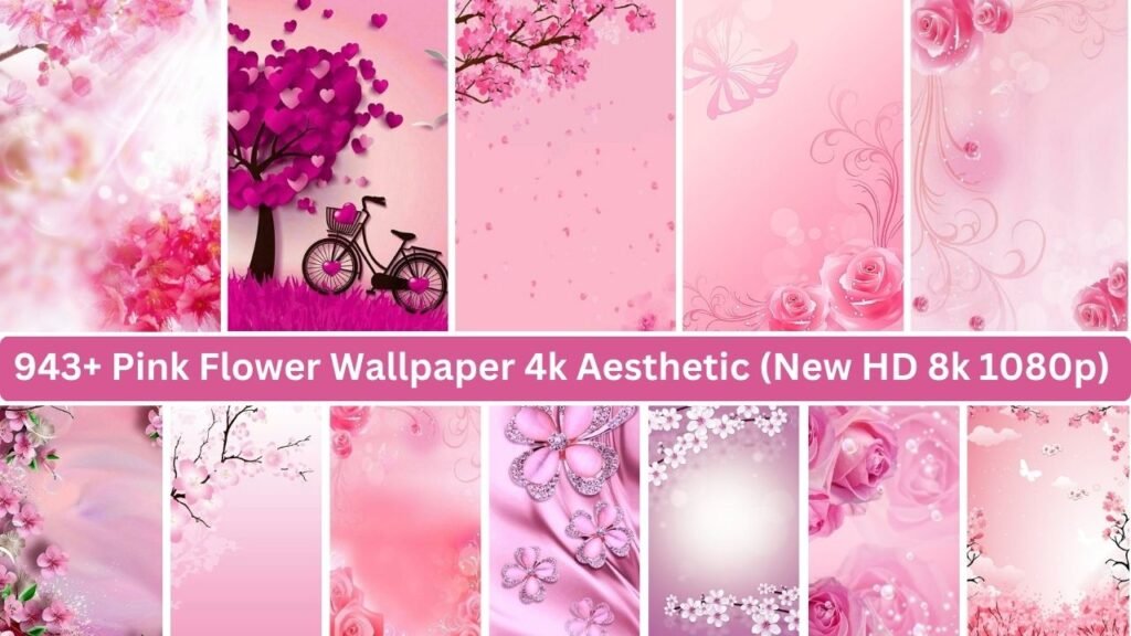 943+ Pink Flower Wallpaper 4k Aesthetic (new Hd 8k 1080p)
