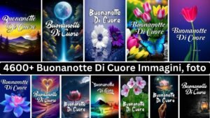 4600+ Buonanotte Di Cuore Immagini, Foto