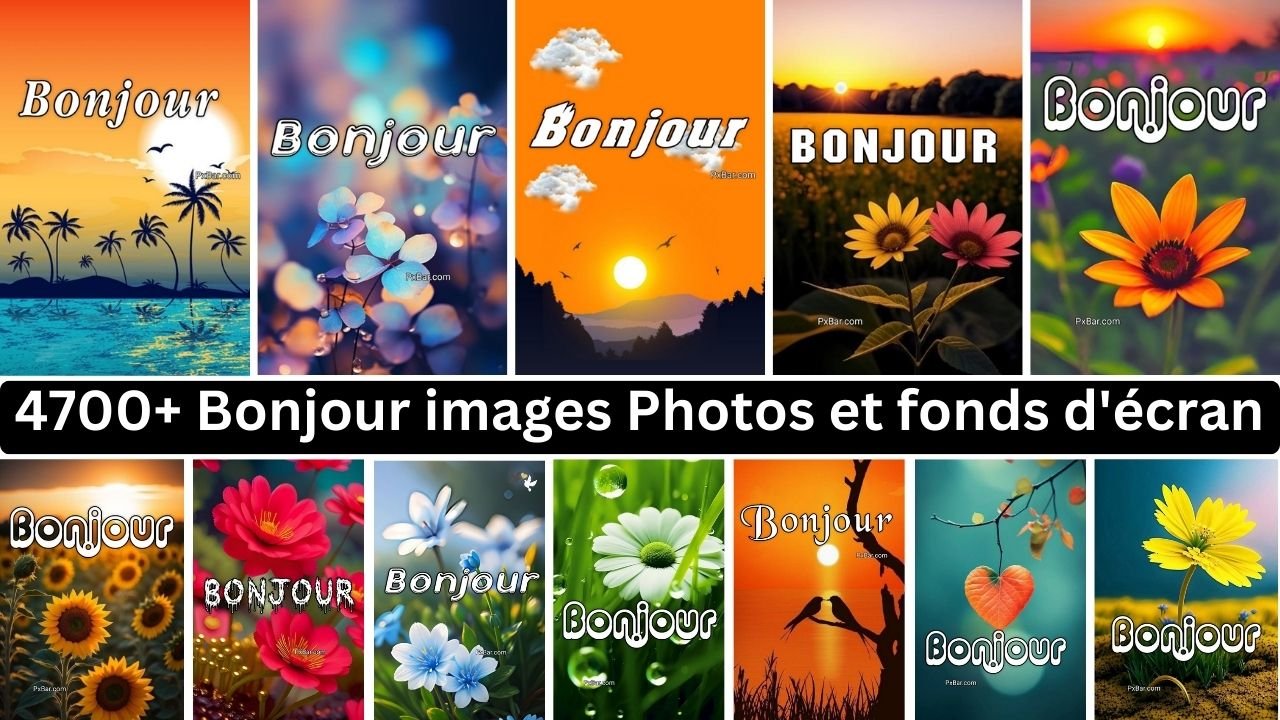 4700+ Bonjour Images Photos Et Fonds D'écran Télécharger