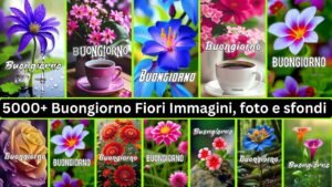 5000+ Buongiorno Fiori Immagini, Foto E Sfondi