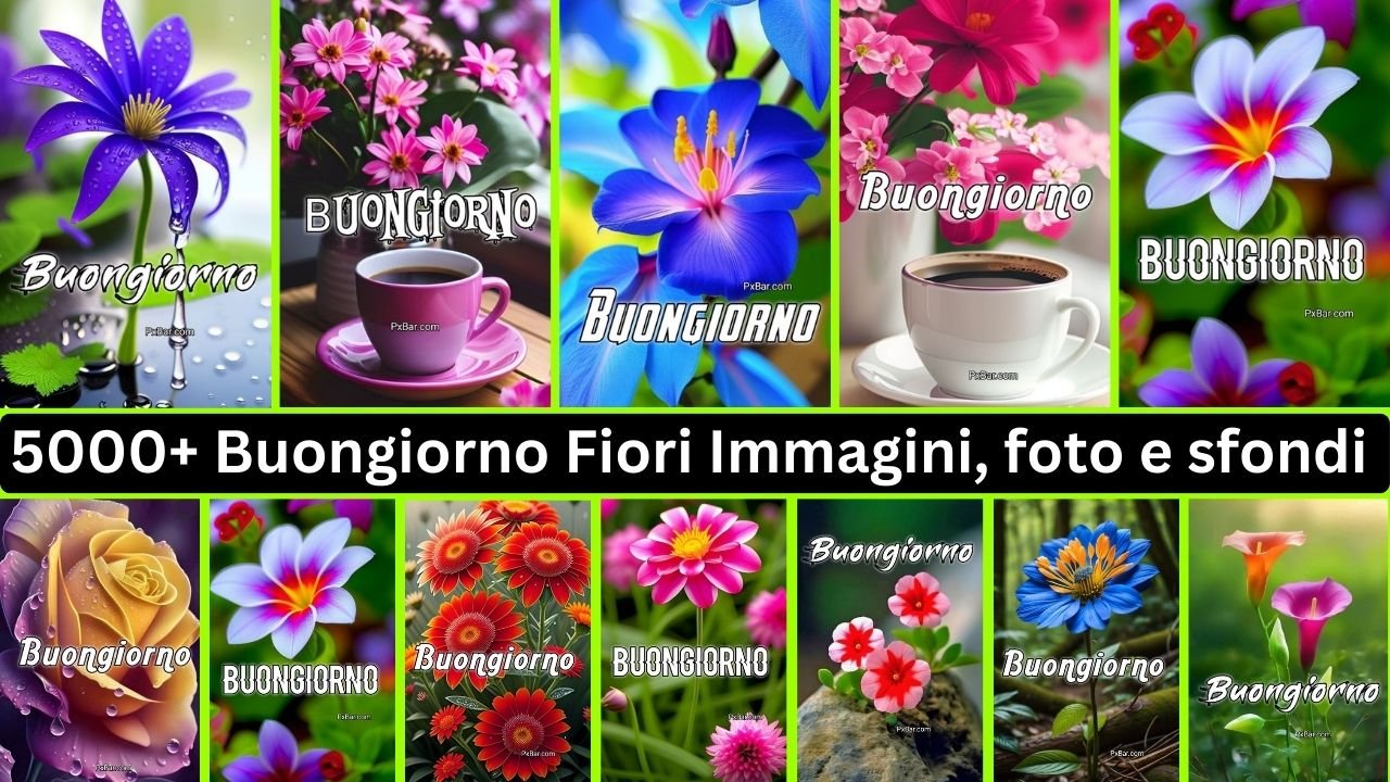 5000+ Buongiorno Fiori Immagini, Foto E Sfondi