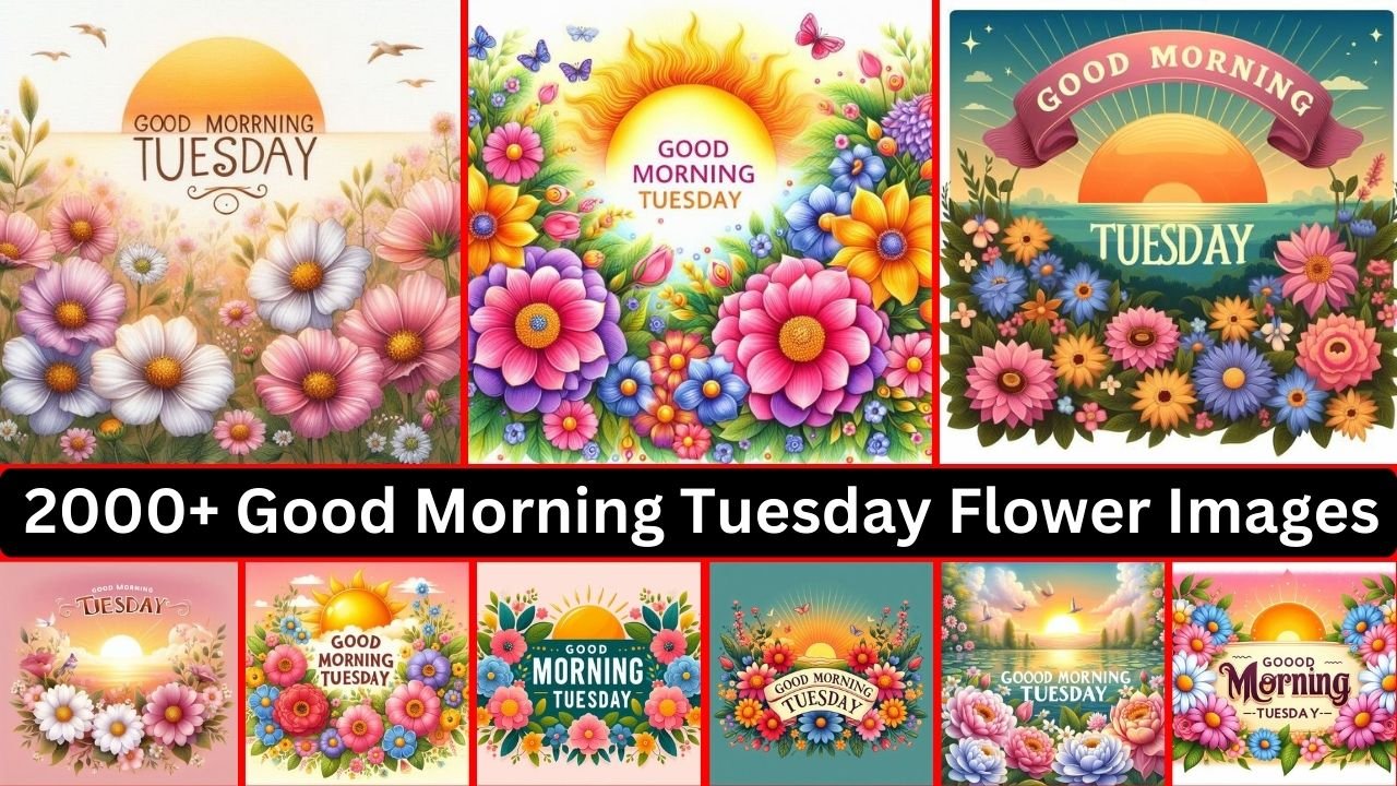 2000+ Good Morning Tuesday Flower Images