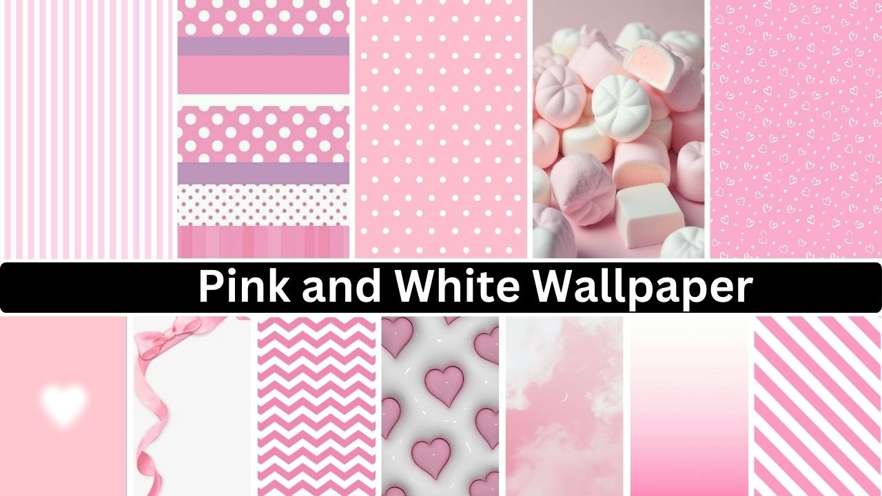 Pink And White Wallpaper 4k