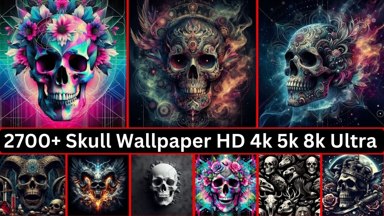 2700+ Skull Wallpaper Hd 4k 5k 8k Ultra Free Download