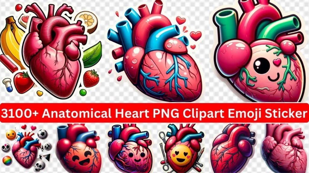 3100+ Anatomical Heart Png Clipart Emoji Sticker