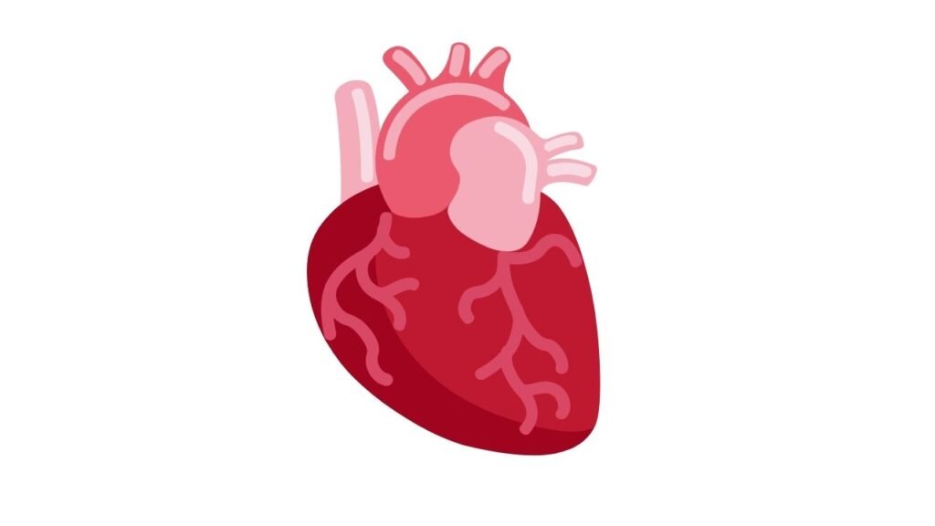 Anatomical Heart Emoji Copy And Paste U+1fac0