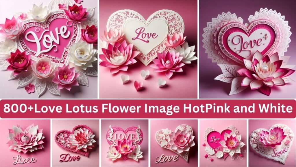 Love Lotus Flower Image Hotpink And White