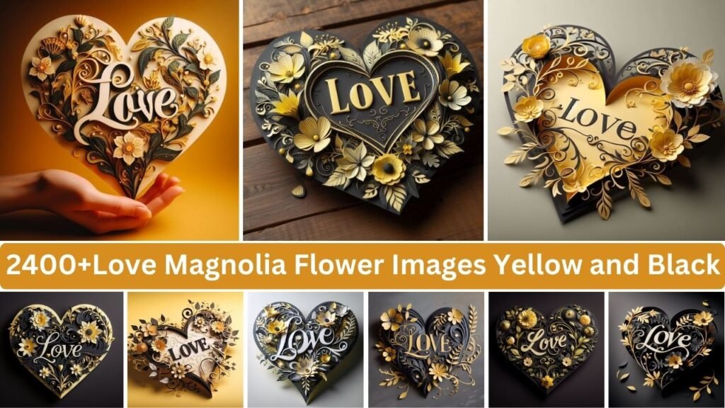 Love Magnolia Flower Images Yellow And Black