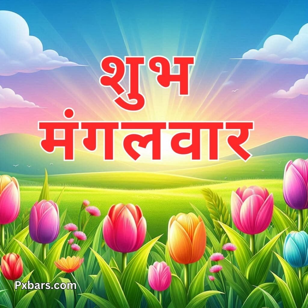 शुभ मंगलवार | 175+ Shubh Mangalwar Images in Hindi Download 2024
